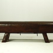 retrorobot_gym_horse