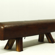 retrorobot_gym_horse