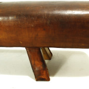 retrorobot_gym_horse