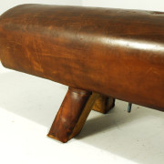 retrorobot_gym_horse